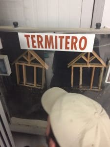 Termitero para ensayar madera tratada