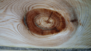 Nudo madera de pino viejo